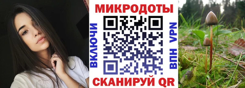 Галлюциногенные грибы GOLDEN TEACHER Сураж