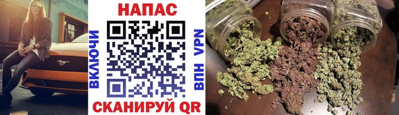OMG как войти  Сураж  Конопля Bruce Banner 